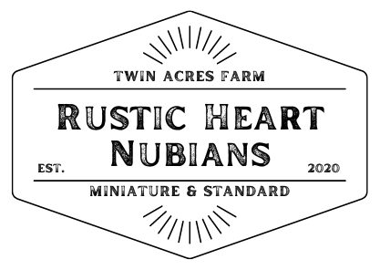 Rustic Heart Nubians